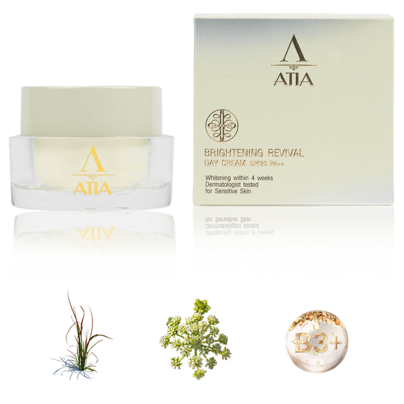 Brightening Revival Day Cream SPF20 PA++